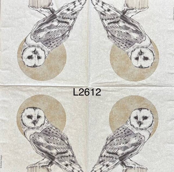 Birds (L2612) - Black and White Owl with Brown Mood in Background