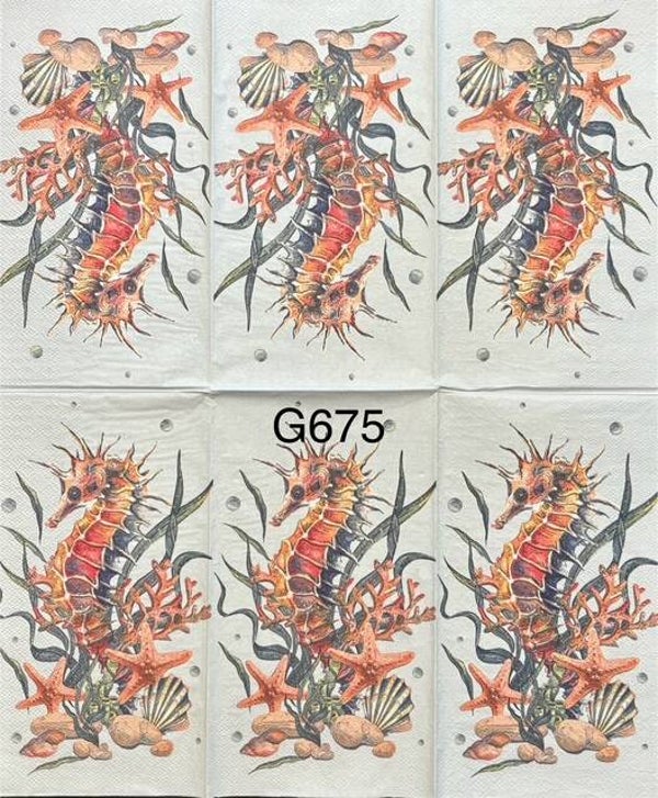 Beach (G675) - Orange and Blue Seahorse Surrounded by Shells and Plants