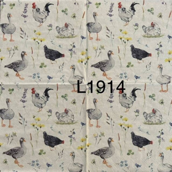 Birds (L1914) - Chickens and Geese