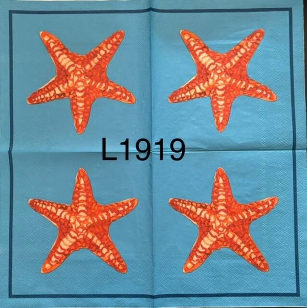 Beach (L1919) - Starfish