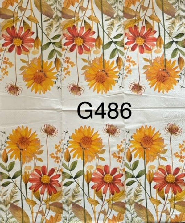 Sunflowers (G486) - Sunflower