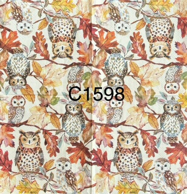 Fall (C1598) - Owls