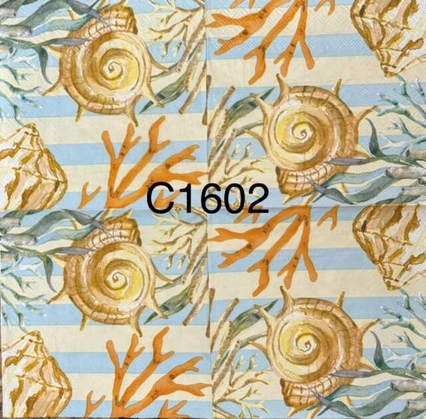 Beach (C1602) - Shells