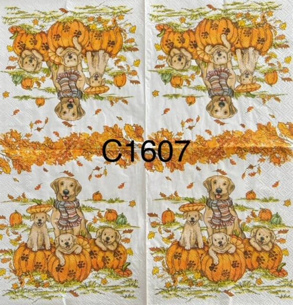 Dogs (C1607) - Dogs in Pumpkins - Fall