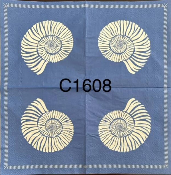 Beach (C1608) - Shells