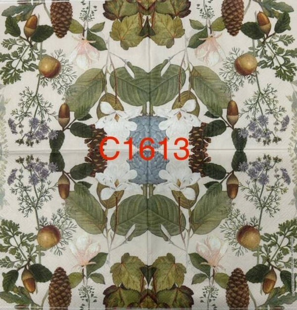 Bargain - Fall (C1613) - Pinecones, Acorns, White Flowers