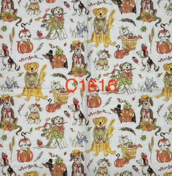 Dogs (C1616) - Fall Dogs