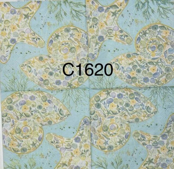 Beach (C1620) - Shells