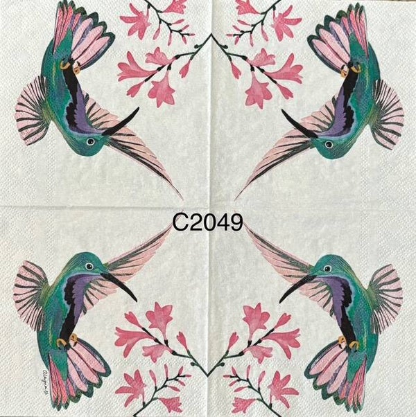 Birds (C2049) - Teal and Pink Hummingbird with Pink Flowers