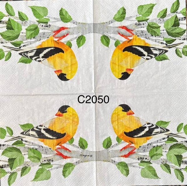 Birds (C2050) - American Goldfinch (Yellow Bird with Black and White)