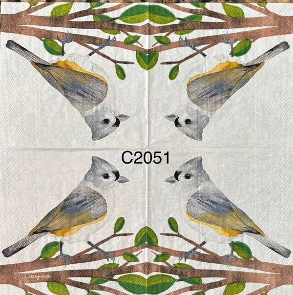 Birds (C2051) - Gray Titmouse (Gray and White Bird with Yellow Under Wing)