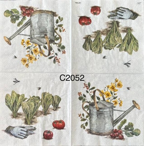 Plants (C2052) - Water Can, Romaine Lettuce, Tomatoes, Radishes, and Gardening Gloves