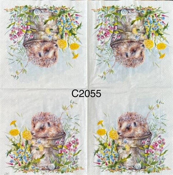 Animals (C2055) - Hedgehog in a Bucket Sniffing Spring Flowers