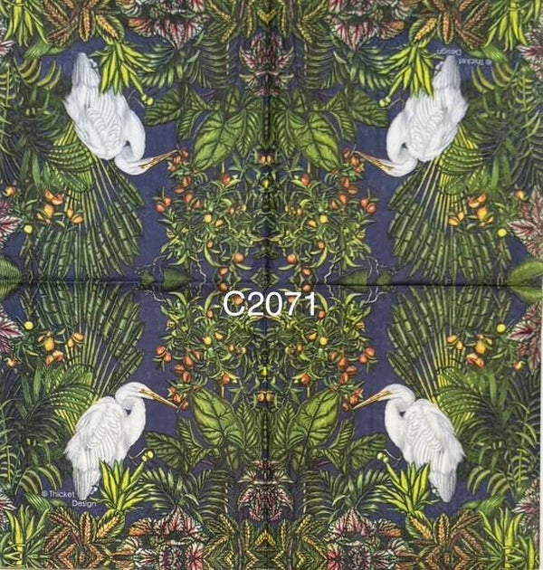 Birds (C2071) - Egret with Greenery in Background