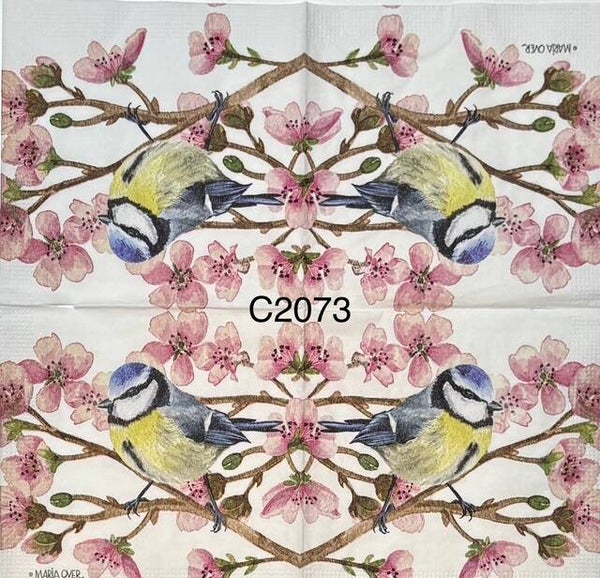 Birds (C2073) - Eurasian Blue Tit (Blue and Yellow Bird)