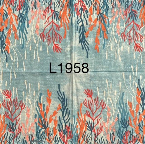 Beach (L1958) - Sea Floor Coral and Algae