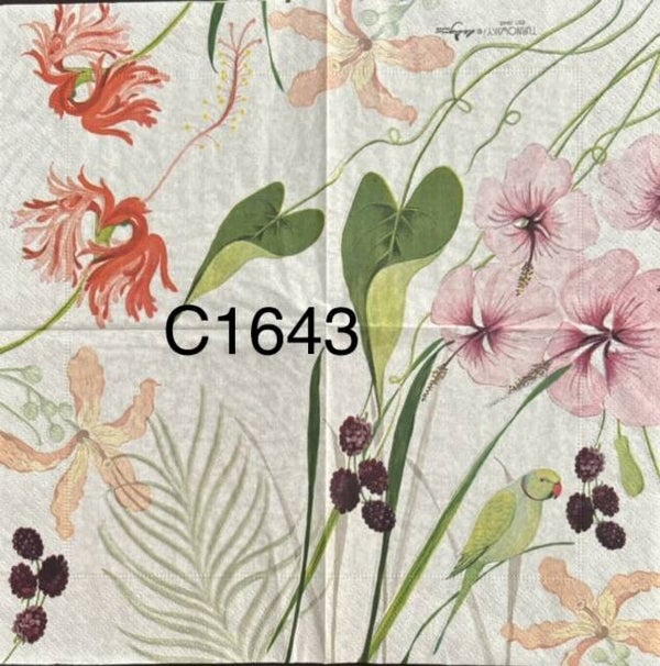Birds (C1643) - Tropical Plants and Green Parrot Bird