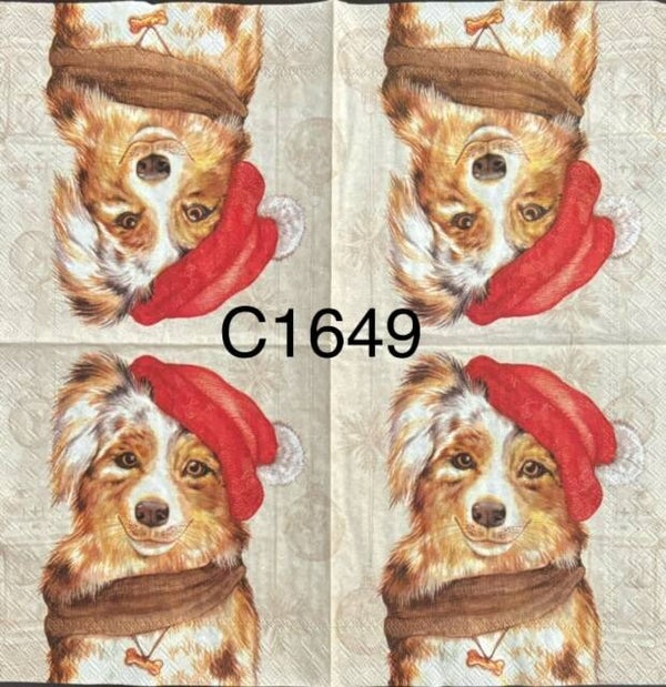 Dogs (C1649) - Dog with Santa Hat