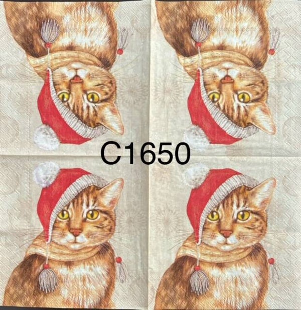 Cats (C1650) - Cat with Santa Hat