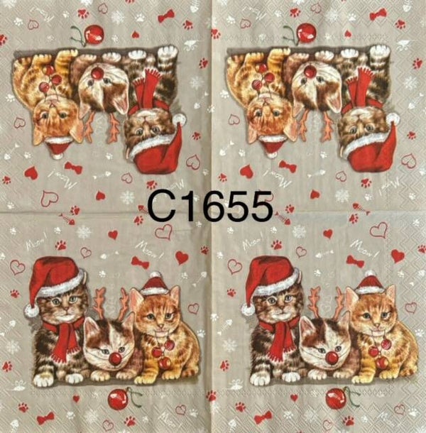 Christmas (C1655) - Christmas Kittens