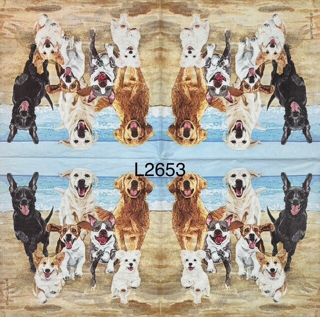 Dogs (L2653) - Pack of Dogs Running from the Beach