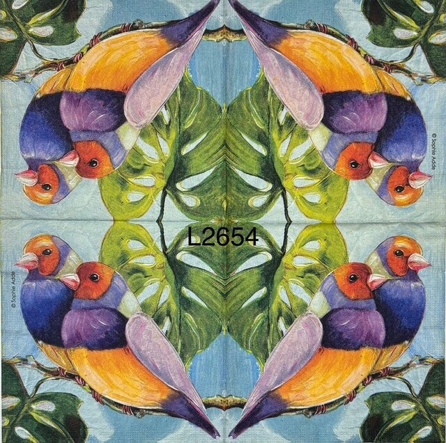 Birds (L2654) - Gouldian Finches on Branch