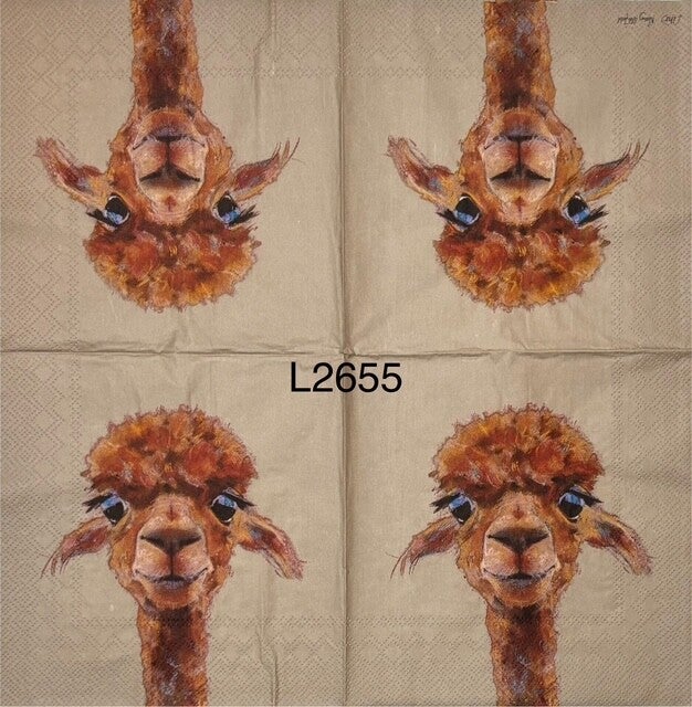 Animals (L2655) - Alpaca