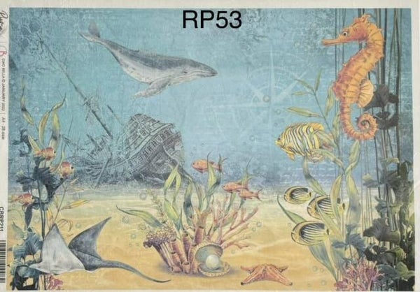 Beach (RP53) - The Shipwreck