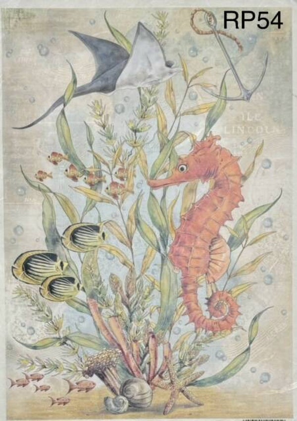 Beach (RP54) - The Seahorse