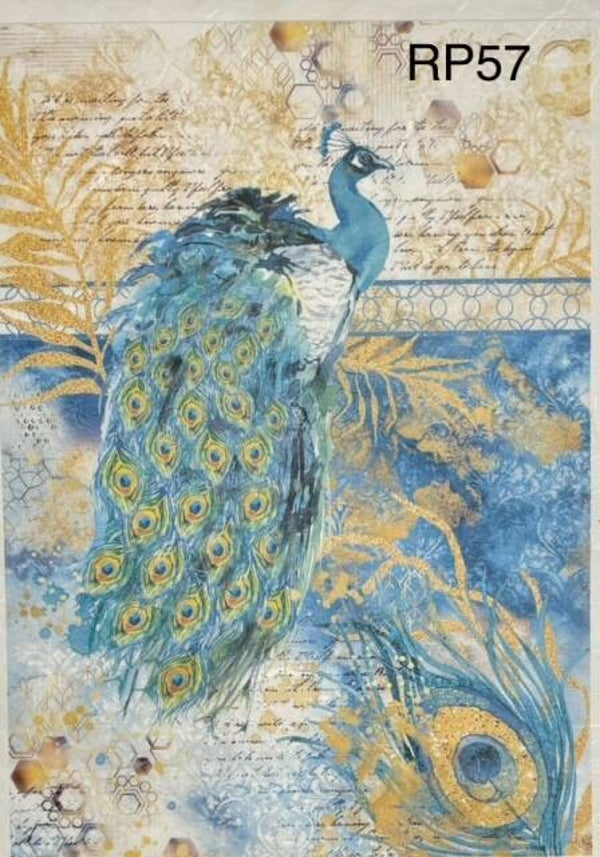 Birds (RP57) - Nocturnal Peacock