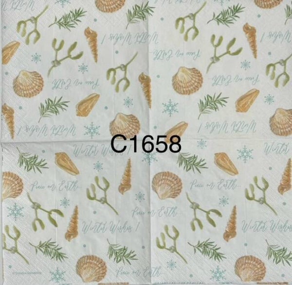 Christmas (C1658) - Shells