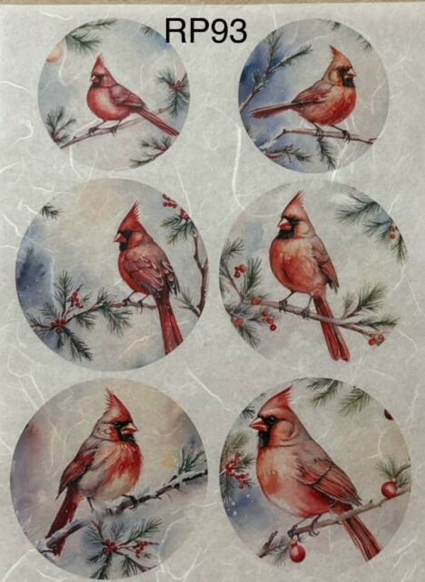 Winter (RP93) - Cardinal Rounds