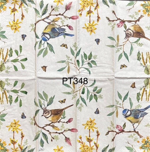 Birds (PT348) - Birds on Branches