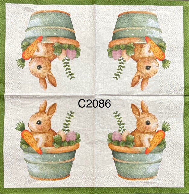 Easter (C2086) - Bunny Inside Flower Pot with Carrot