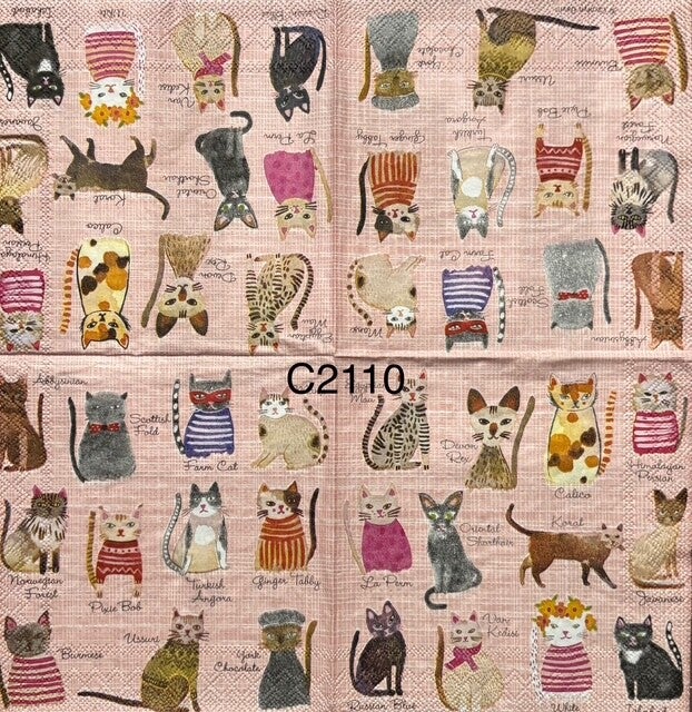 Cats (C2110) - Variety of Cats on Pink Background