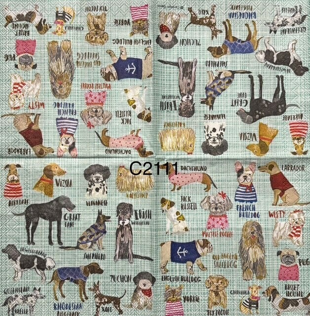 Dogs (C2111) - Dogs Wallpaper on Light GreenBlue Background