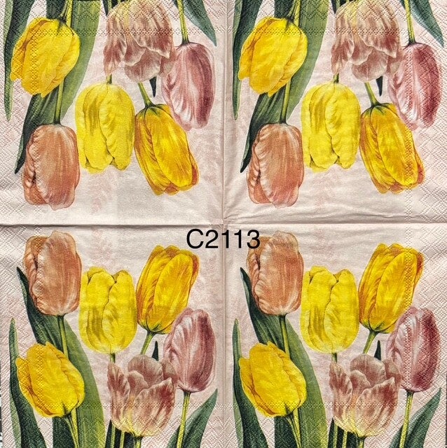 Easter (C2113) - Tulips with Light Pink Background