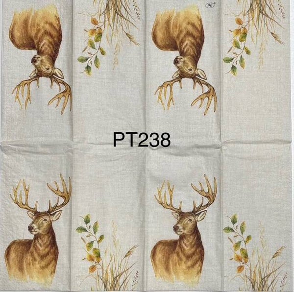 Deer (PT238) - Deer (Buck)