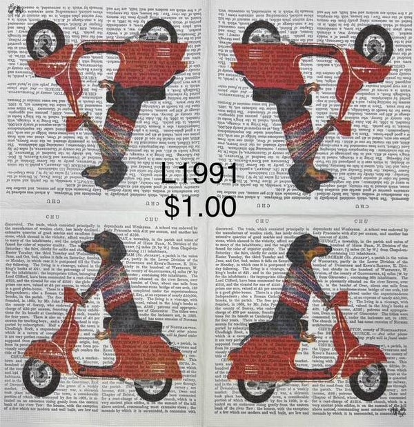 Dogs (L1991) - Dachsund Riding Scooter with Print in Background