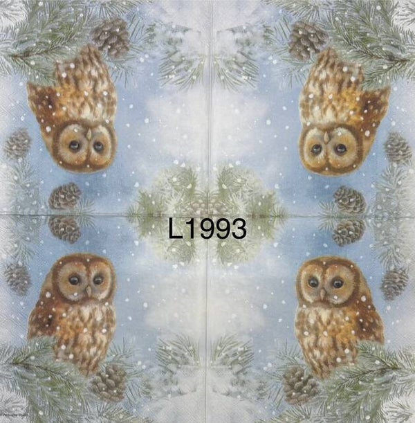 Winter (L1993) - Owl Perched on Pine Branch