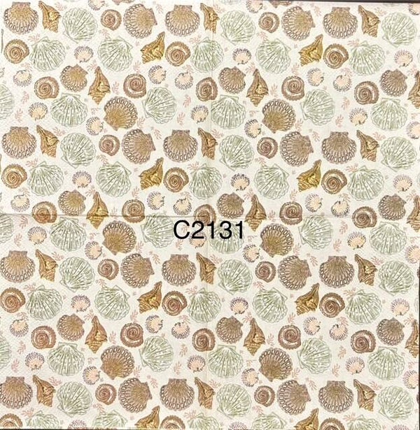 Beach (C2131) - Different Types of Shells Wallpaper