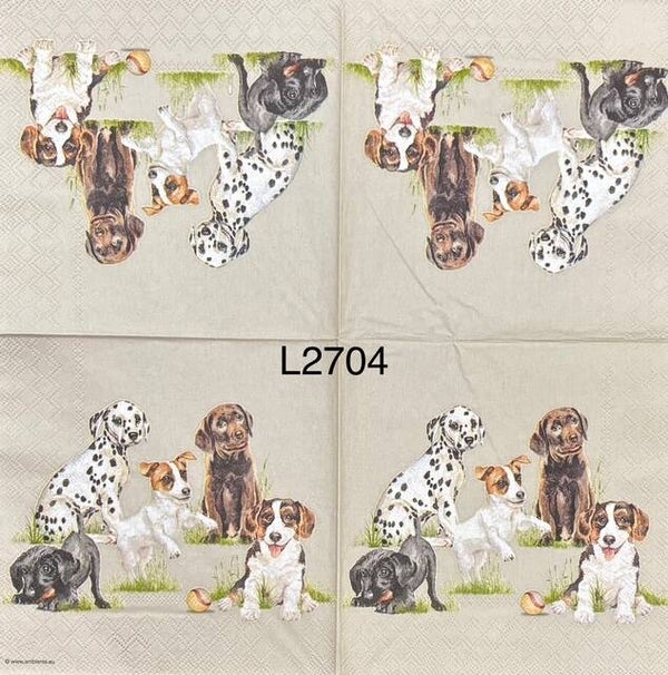 Dogs (L2704) - Puppies Posing (Dalmation, Lab, Terriers)