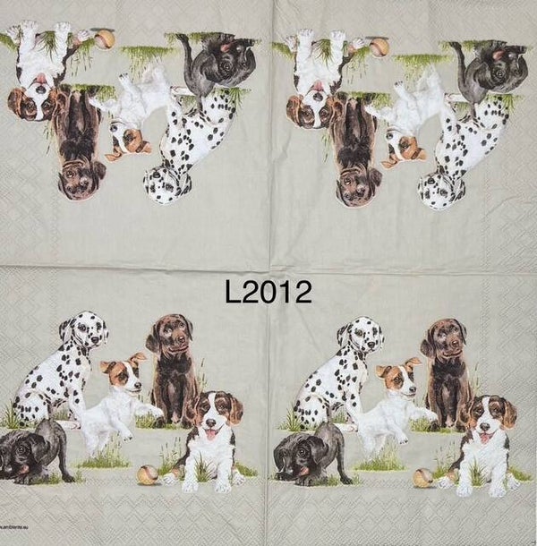 Dogs (L2012) - Puppies