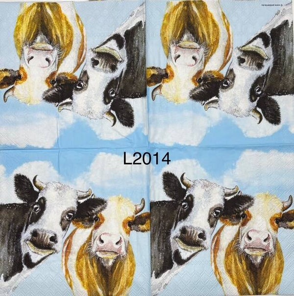 Cows (L2014) Two Cows