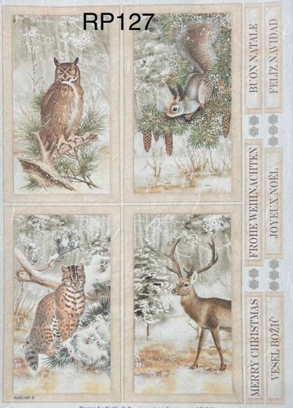 Winter (RP127) - Winter Animals