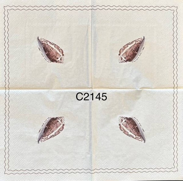 Beach (C2145) - Brown and White Shell