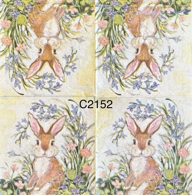 Easter (C2152) - Bunny Surrounded by Spring Flowers