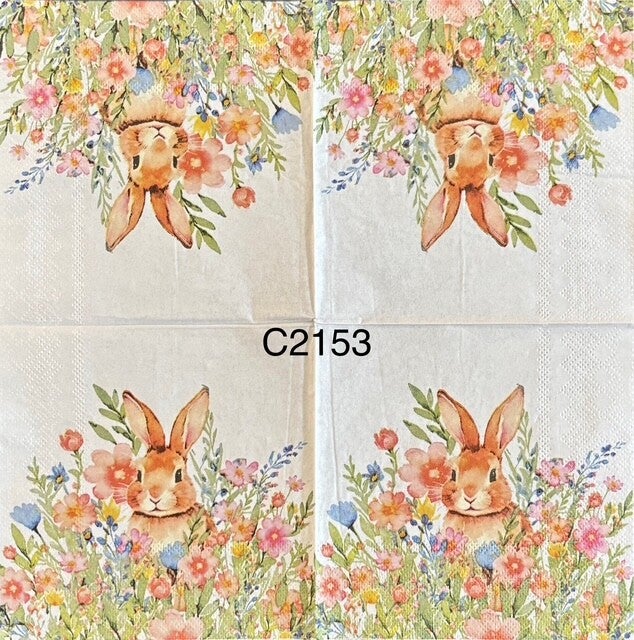 Easter (C2153) - Bunny in Field Surrounded by Spring Flowers