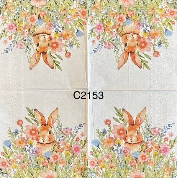 Easter (C2153) - Bunny in Field Surrounded by Spring Flowers