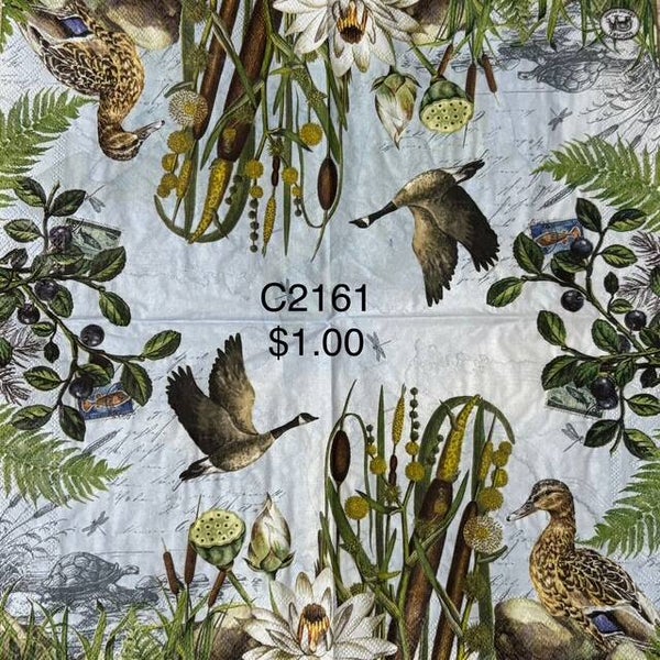 Birds (C2161) - MDW Mallard Ducks